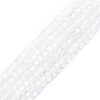 Natural Quartz Crystal Beads Strands G-P457-B01-26-1