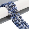 Natural Blue Spot Jasper Beads Strands G-O201B-141G-1