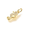 Brass Micro Pave Clear Cubic Zirconia Charms KK-Q040-04A-G-2