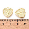 Alloy Pendants PALLOY-N157-001Y-NR-3