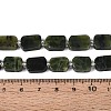 Natural Canadian Jade Beads Strands G-T138-26A-07-5