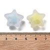 Frosted Transparent Acrylic Beads OACR-A032-13C-3