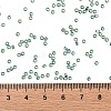 TOHO Round Seed Beads SEED-XTR11-2202-4