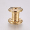 Iron Screw Rivets IFIN-WH0051-09A-G-2