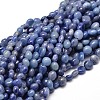 Natural Dyed & Heated Blue Aventurine Nuggets Beads Strands G-J335-34A-1