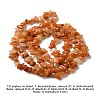 10 Strands 10 Styles Natural & Synthetic Mixed Gemstone Chip Beads Strands G-FS0005-89-4