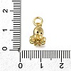 Brass Micro Pave Clear Cubic Zirconia Charms ZIRC-I070-076G-3