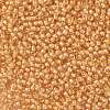 TOHO Round Seed Beads X-SEED-TR11-0984-2