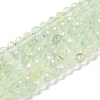 Natural Prehnite Beads Strands LS-G-G139-A05-03-1