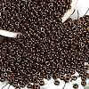 TOHO 6/0 Demi Round Beads Y-SEED-DR06-0224-2