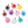 Frosted Resin Polygon Pendants RESI-U002-10-1