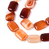 Natural Agate Beads Strands G-N356-03A-16-4