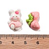 Cute Opaque Resin Decoden Cabochons RESI-S04-01-3