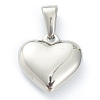 304 Stainless Steel Pendants LS-STAS-P278-01B-P-2