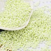 Baking Paint Glass Seed Beads X-SEED-S042-15B-24-1