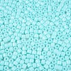 Opaque Baking Paint Glass Seed Beads SEED-T008-02N-3