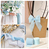 Polyester Chiffon Ribbon HULI-PW0002-054E-5