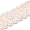 Natural Cultured Freshwater Pearl Beads Strands PEAR-N012-AA-01-2