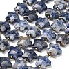 Natural Blue Spot Beads Strands G-P573-C45-01-2