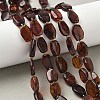 Natural Amber Beads Strands G-L095-C01-03-1
