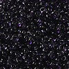 Transparent Colours Glass Seed Beads SEED-P006-02A-12-3