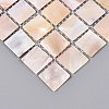 Natural Freshwater Shell Mosaic Tile Cabochons SHEL-Q029-05B-2
