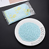 6/0 Glass Seed Beads SEED-T005-14-B19-2