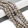 Natural Rainbow Alashan Agate Beads Strands G-NH0022-A09-02-2