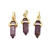 Natural Amethyst Double Terminal Pointed Pendant G-H097-01G-08-1