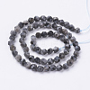 Natural Black Larvikite Beads Strands G-J376-47A-6mm-2