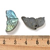 Natural Labradorite Carved Cabochons G-C152-03A-3