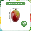 Foam Chinese Olive Display Decoration DJEW-GF0001-90A-2