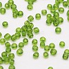 8/0 Glass Seed Beads X-SEED-J013-F8-14-3