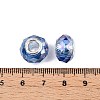 Transparent Glass European Beads GPDL-N004-D14mm-A13-3