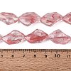 Handmade Lampwork Beads Strands LA-N046-02I-4