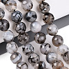 Dyed & Heated Natural Fire Crackle Agate Beads Strands G-N359-01B-04-1