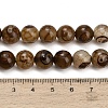 Tibetan Style dZi Beads Strands GG-CBA4812-B10-10MM-5