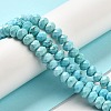 Dyed Natural Howlite Beads Strands G-G023-A01-01A-2