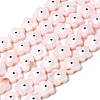 Dyed Natural Freshwater Shell Beads Strands SHEL-A006-03C-1