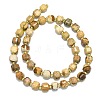 Natural Picture Jasper Beads Strand G-I376-D78-01-2