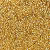 MIYUKI Round Rocailles Beads SEED-G009-RR0003-2