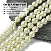 Eco-Friendly Dyed Glass Pearl Round Beads Strands HY-A002-12mm-RB011-2