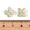 Baking Paint Transparent Glass Bead Caps DGLA-N014-04D-3