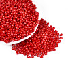 Baking Paint Glass Seed Beads SEED-N007-29C-1