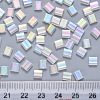 2-Hole Transparent Glass Seed Beads X-SEED-S031-L-250-3