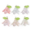 6Pcs Transparent Acrylic Pendants PALLOY-JF02300-02-1