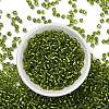 6/0 Round Silver Lined Round Hole Glass Seed Beads X-SEED-A005-4mm-24-2