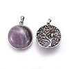 Natural Amethyst Pendants G-I214-E04-1