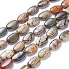 Natural Picasso Jasper Bead Strands G-P444-02-1