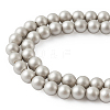 Shell Pearl Beads Strands BSHE-TA0002-03A-4mm-4